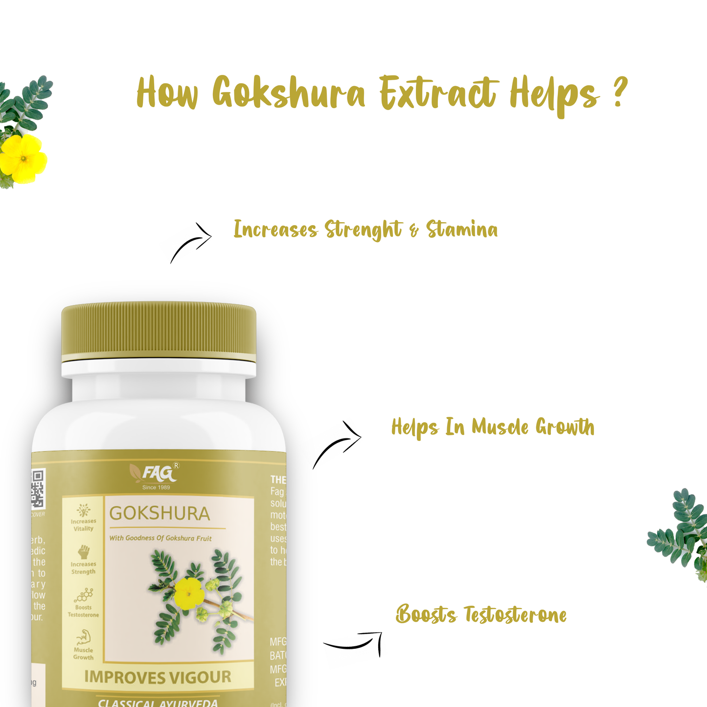 Fag Gokshura For Stamina | Strength & Vigour  (60Cap)