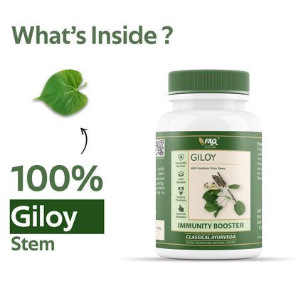 Giloy For Boosting Immunity | Anti - Oxidant | Fever & Indigestion ( 60 Cap )